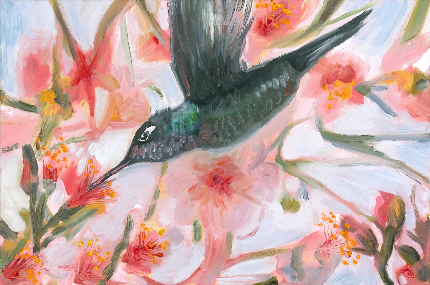 Oil painting of a hummingbird hovering among pink hibiscus blossoms