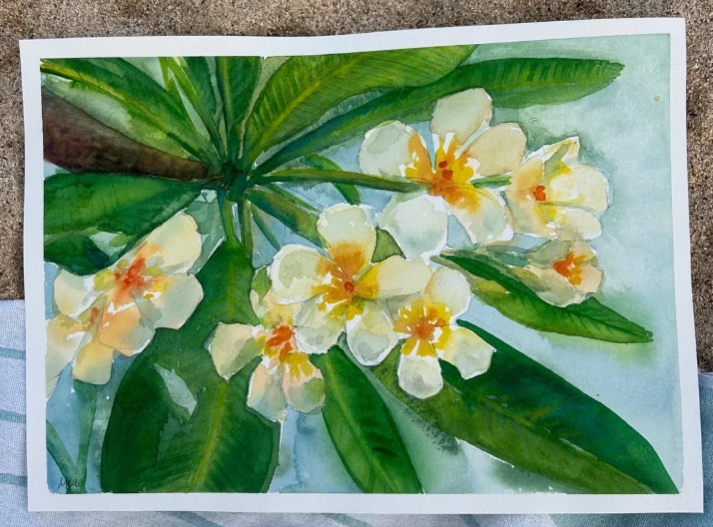 Watercolor of white and yellow plumeria blossoms with green leaves